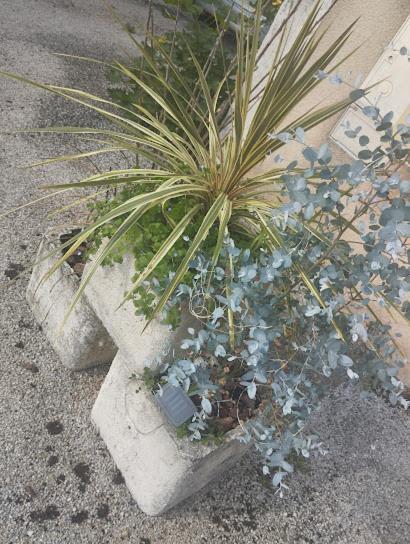 Gy Maison De Village Appartement Rdc Avec Terrasse מראה חיצוני תמונה